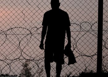 Global Cultural Rights and the Democracy of Pluralism and Coexistence