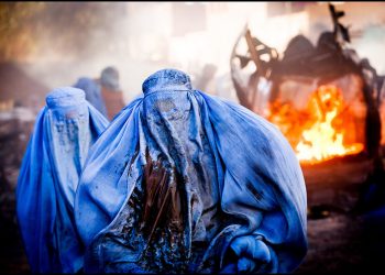 The Psychology of Terrorism: Individuals and Terrorist Groups