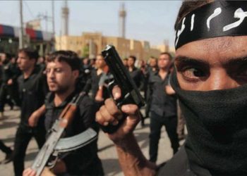 Returning Fighters from Conflict Zones: Challenges and Capacities