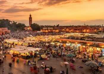 The Good News from North Africa