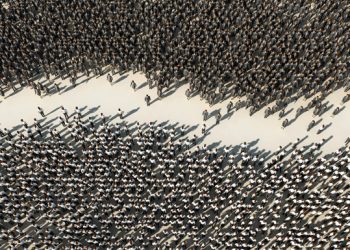 The Depolarization Imperative