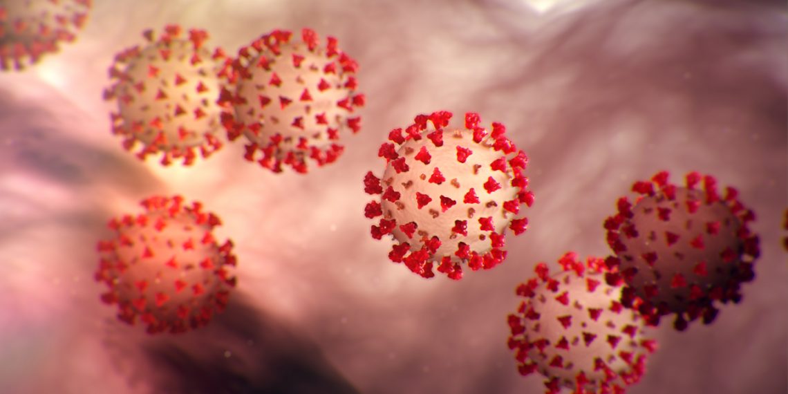 Ideological Marketing of Coronavirus Responses Doesn’t Match Reality