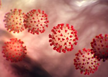 Ideological Marketing of Coronavirus Responses Doesn’t Match Reality