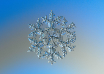 The Strange Limbo of Contemporary American Conservatism